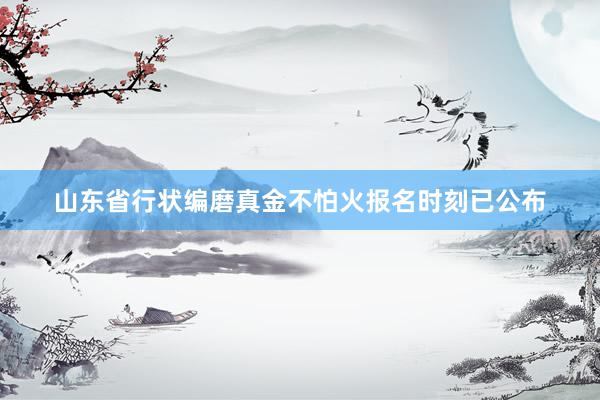 山东省行状编磨真金不怕火报名时刻已公布